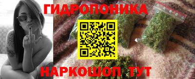 стаф Кимры
