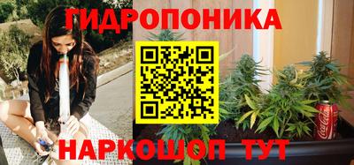 стаф Кимры