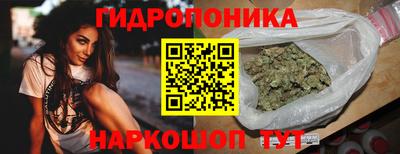 стаф Кимры