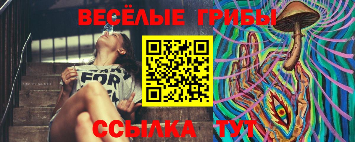 Галлюциногенные грибы мицелий Каменка