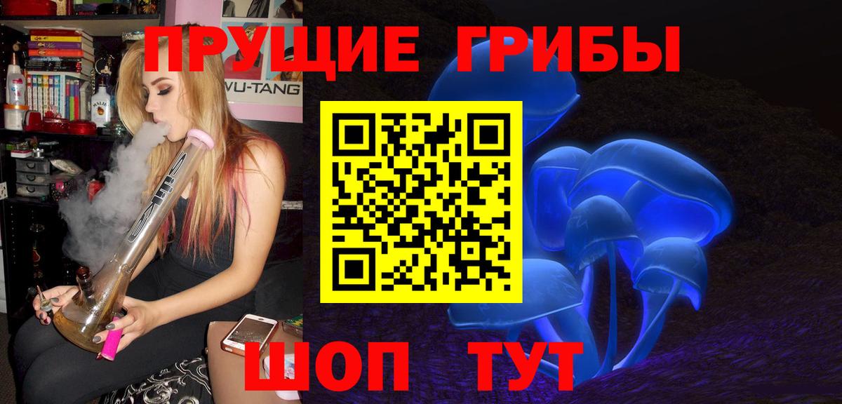 Каменка  Псилоцибиновые грибы прущие грибы  Вход с VPN 